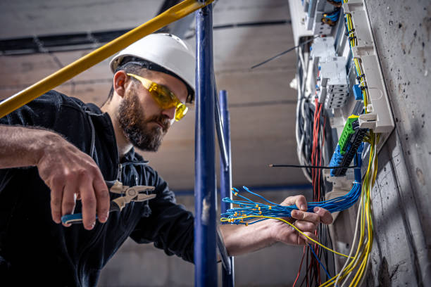 Best Electric Panel Repair  in Three Lakes, FL